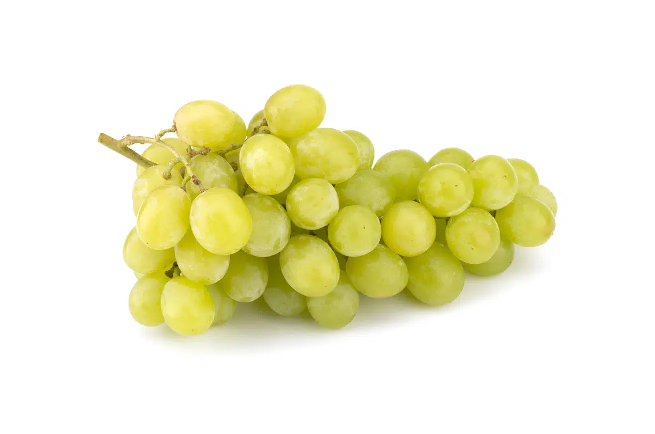 Uva blanca