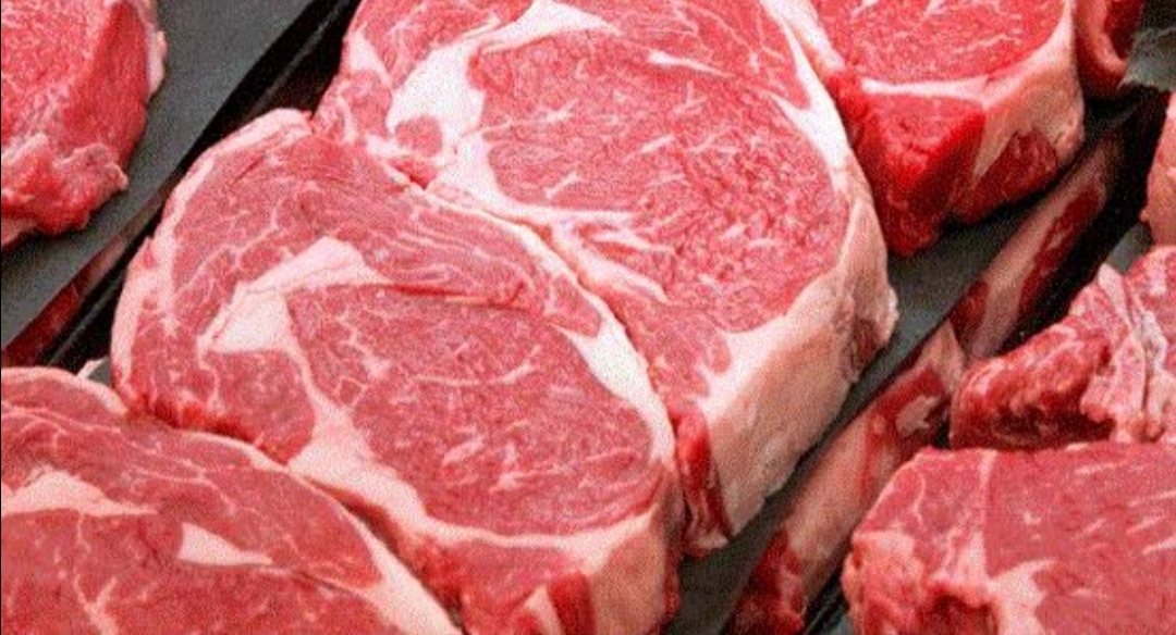 Carne de camello mezcla