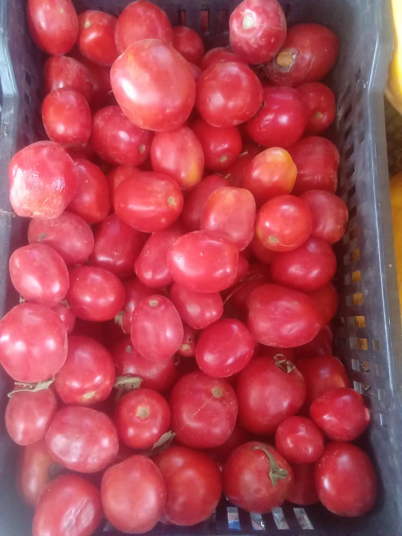 Tomate