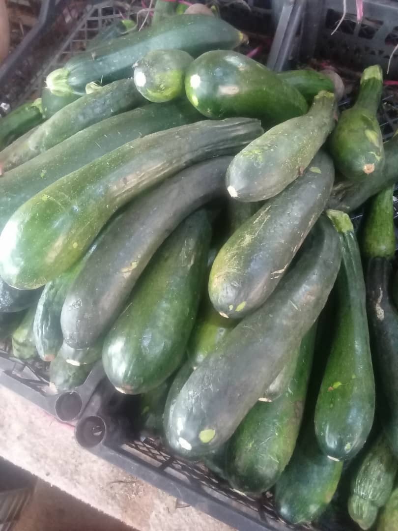 Calabacin