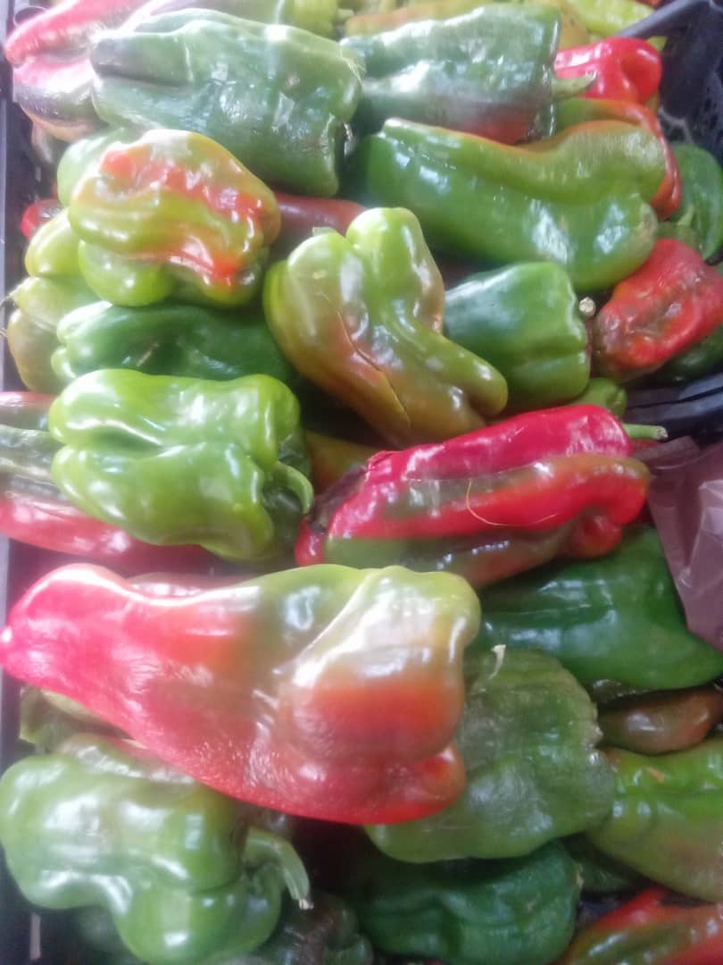 Pimiento rojo y verde