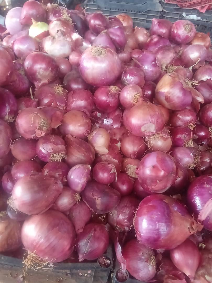 Cebollas
