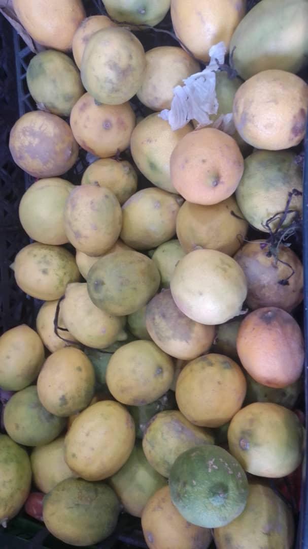 Limones
