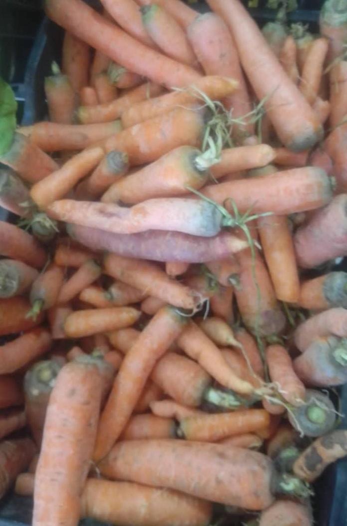 Caja de zanahorias